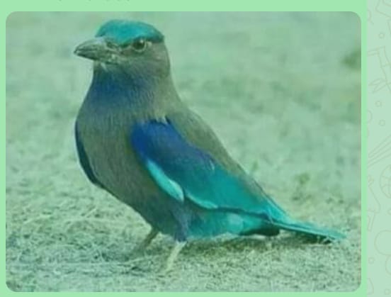 Img 20241011 Wa0062