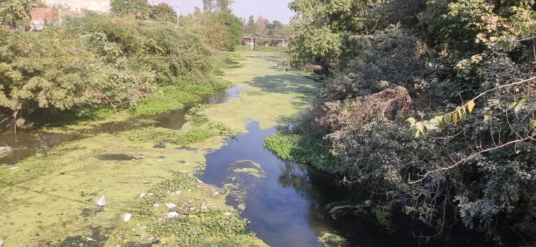 महाकुंभ की तैयारी, जिले में गंगा में गिर रहे 12 गंदे नाले