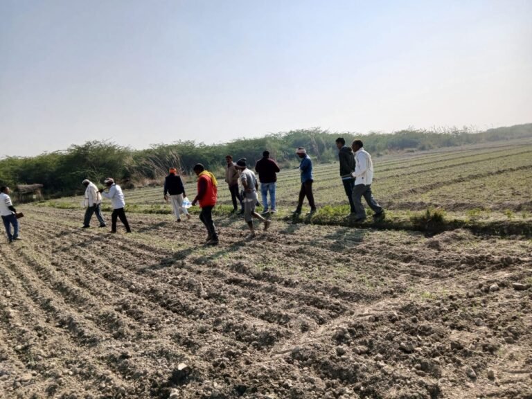 तहसीलदार आकांक्षा दीक्षित ने साढ़े चार बीघा जमीन कराई कब्जा मुक्त, अवैध कब्जादारों में मचा हड़कंप ड़कंप