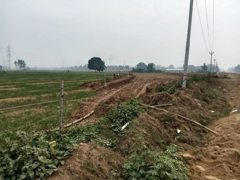 बगैर मुआवजा जमीन पर कब्जा करने का आरोप