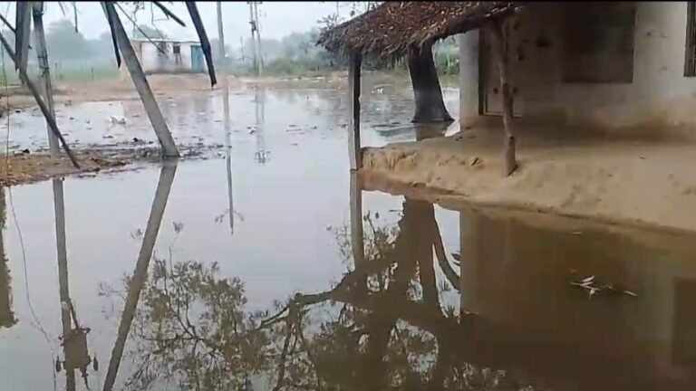 माइनर कटने से फसल चौपट