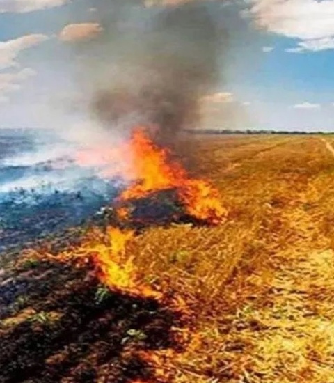 Screenshot 20251024 030322 पराली जलाने वाले किसानों पर लगाया जुर्माना