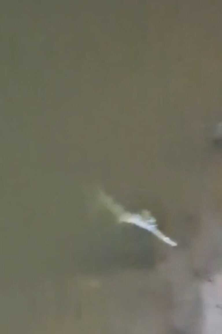 Screenshot_20251028_100813
