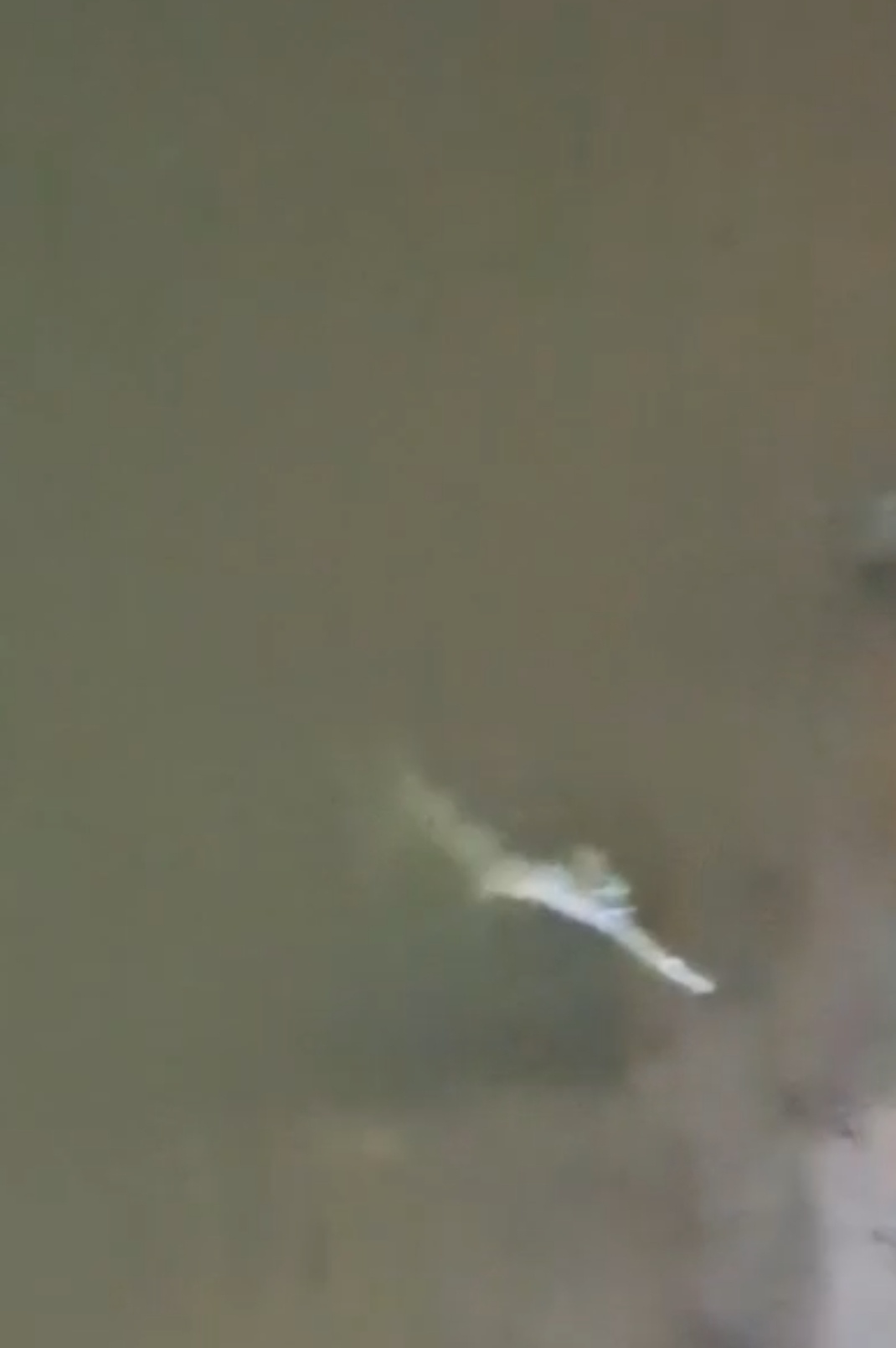 Screenshot 20251028 100813 पूजा अर्चना के बीच उभरा खतरनाक नजारा, महिलाओं में मची अफरा-तफरी