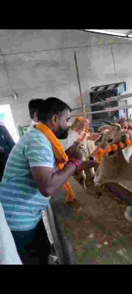 compressed image2025 10 29 20 49 32.534900 गोशाला में मनाई गई गोपाष्टमी