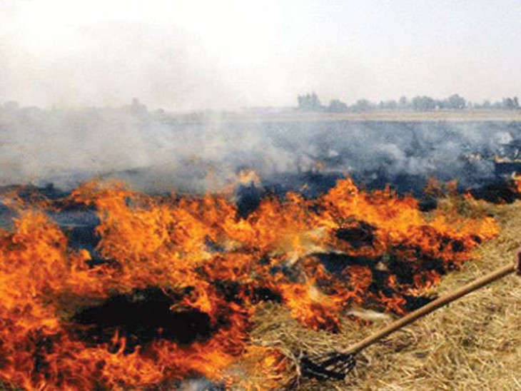 1000924041 1732438747 रायबरेली व अमेठी में पराली जलाने के चार मामले आए सामने