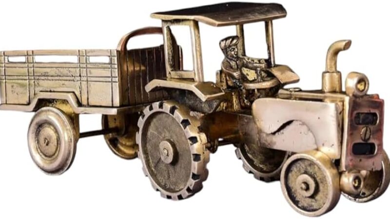 राजस्थान प्रांत के भरतपुर निवासी हेमराज की ट्रैक्टर से कुचल कर मौत