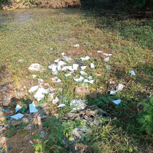 IMG 20251208 WA0130 रायबरेली के डीह में बीएलओ को पीटा, एसआईआर फार्म भी फाड़े