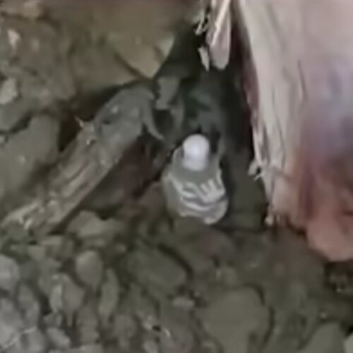 IMG 20260217 175309 रायबरेली में महुआ के पेड़ से शिवलिंग मिलने से हड़कंप, ग्रामीणों ने की मंदिर निर्माण की मांग