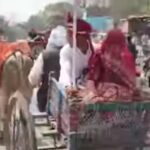 हमीरपुर में बैलगाड़ी से हुई दुल्हन की विदाई, दूल्हे ने दिया सादगी का संदेश