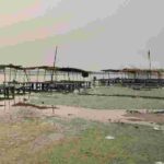 गंगा में बढ़ा जलस्तर, श्रद्धालुओं में खुशी लेकिन कटरी की फसलें प्रभावित