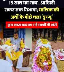 IMG 20260714 211840 15 साल का साथ... मालिक की अर्थी के पीछे चला 'डुग्गू', कुछ कदम बाद थम गई सांसें, बैतूल की कहानी कर देगी भावुक