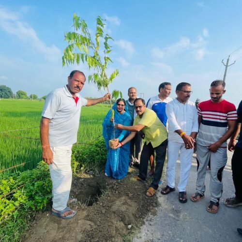 IMG 20260912 WA0171 कहिंजर में रोपे गए 1500 पौधे, पर्यावरण संरक्षण का लिया संकल्प