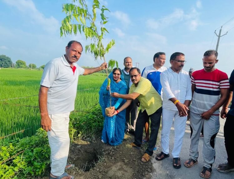 IMG 20260912 WA0171 कहिंजर में रोपे गए 1500 पौधे, पर्यावरण संरक्षण का लिया संकल्प